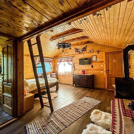 Chalets Du Bf Σιγκισοάρα Εξωτερικό φωτογραφία