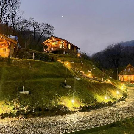 Chalets Du Bf Σιγκισοάρα Εξωτερικό φωτογραφία