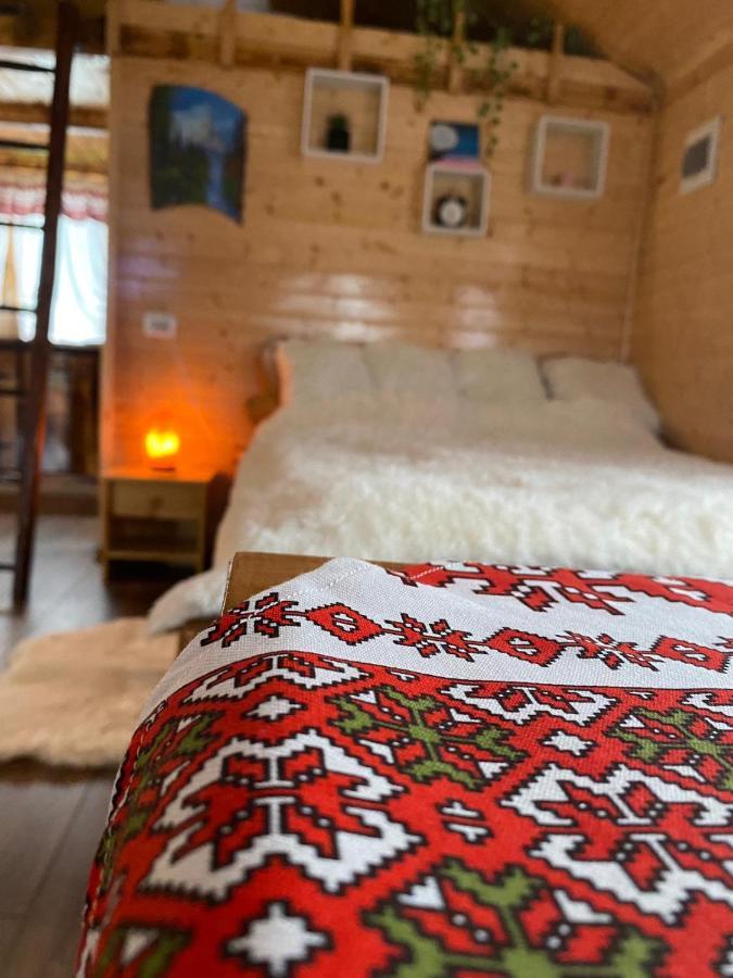 Chalets Du Bf Σιγκισοάρα Εξωτερικό φωτογραφία