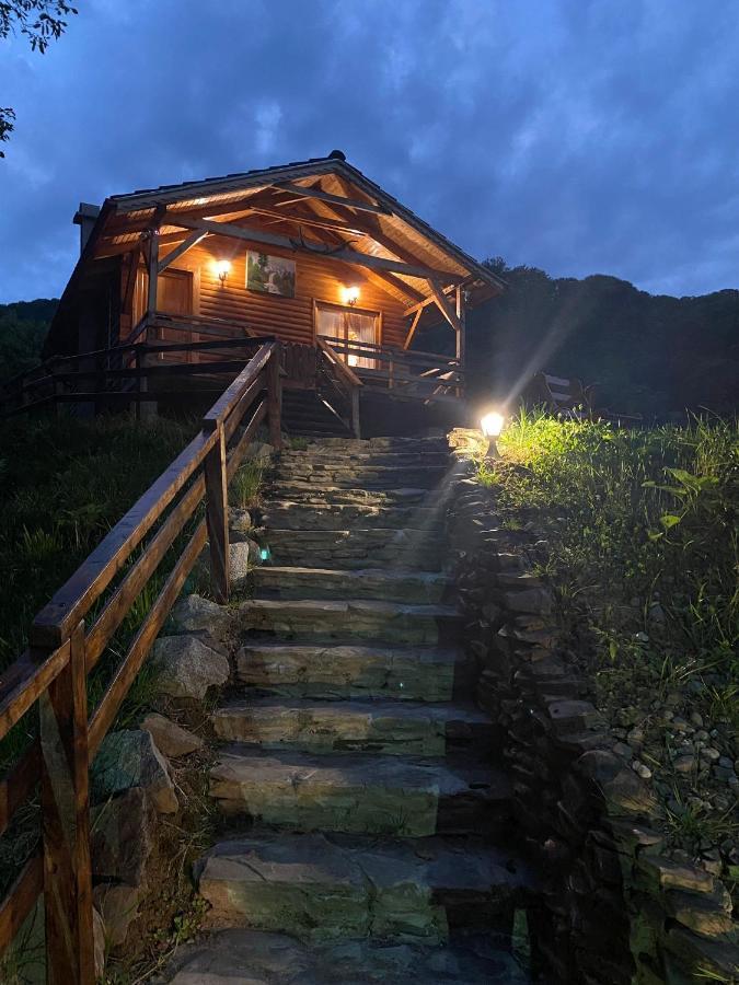 Chalets Du Bf Σιγκισοάρα Εξωτερικό φωτογραφία