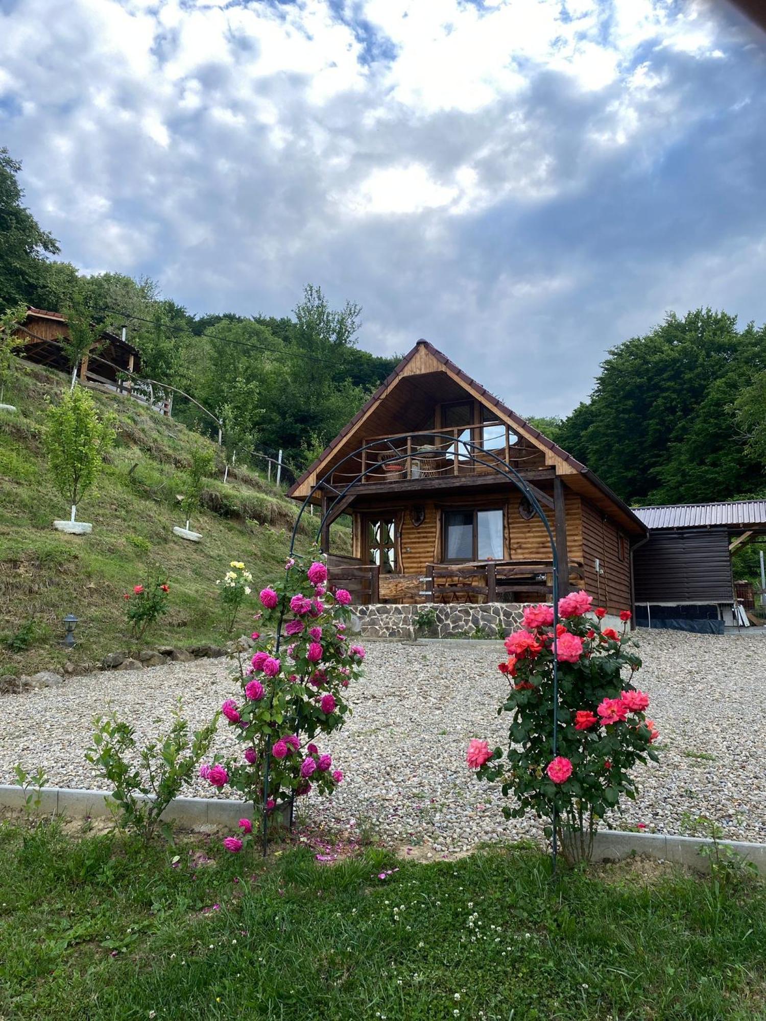 Chalets Du Bf Σιγκισοάρα Εξωτερικό φωτογραφία