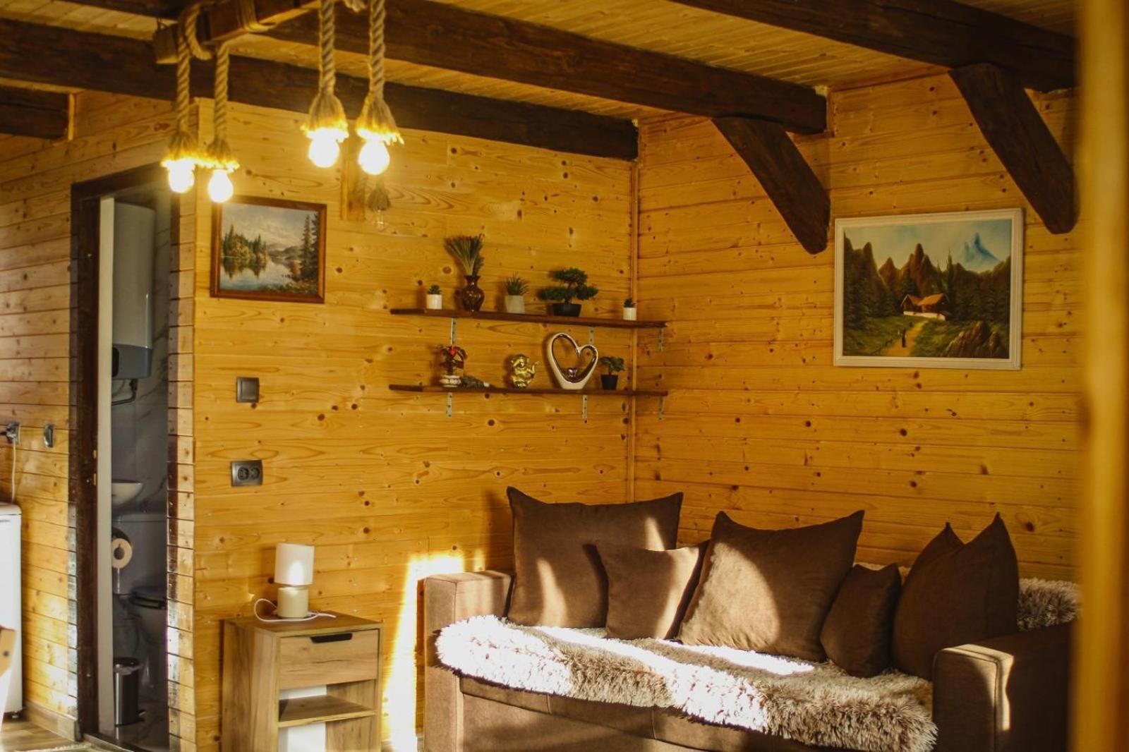Chalets Du Bf Σιγκισοάρα Εξωτερικό φωτογραφία