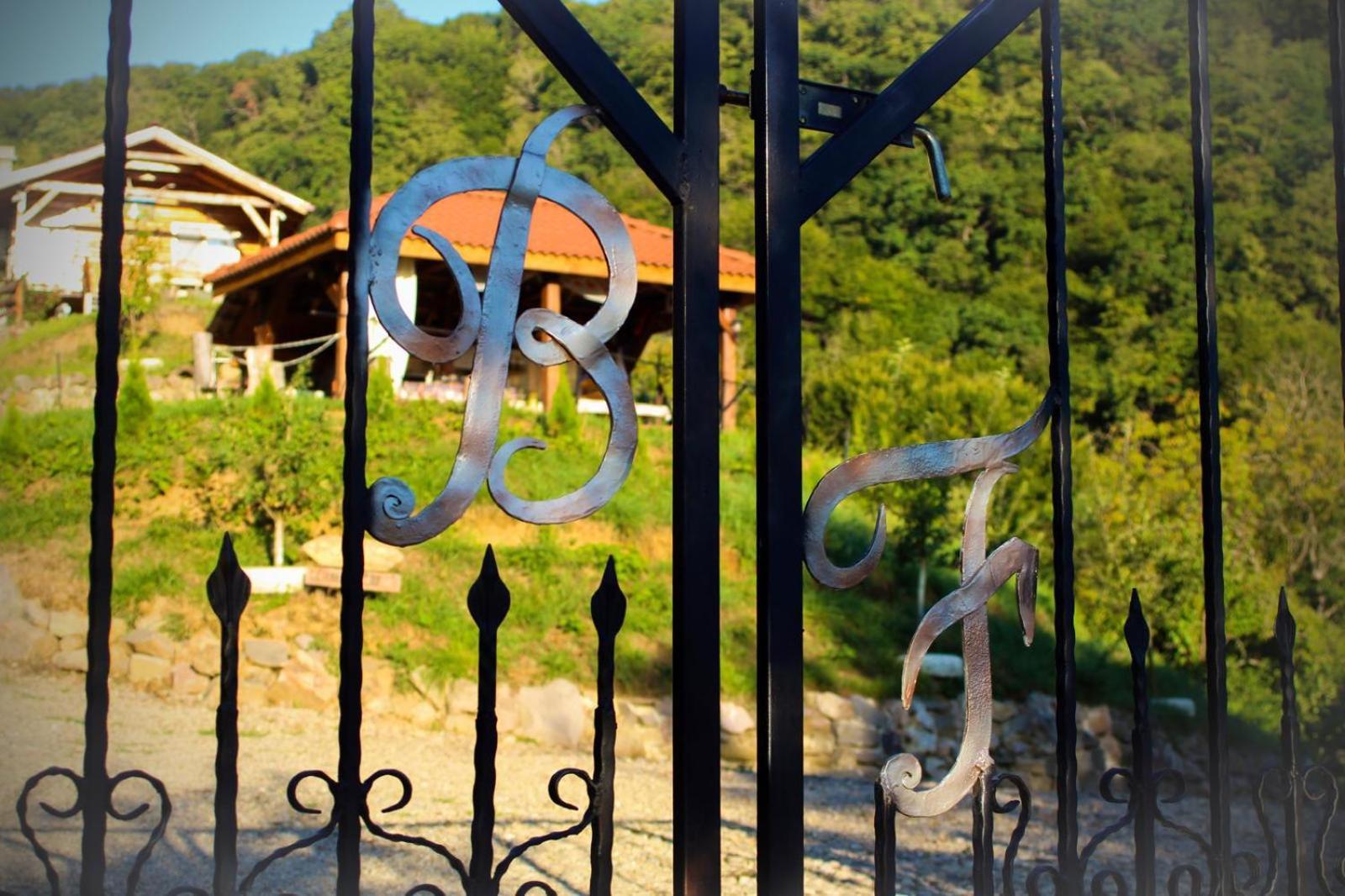 Chalets Du Bf Σιγκισοάρα Εξωτερικό φωτογραφία
